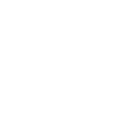 Fracture Treatment Icon